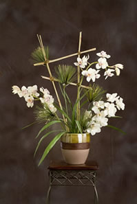 silk plants, denver colorado, custom silk plants, silk flowers, silk trees